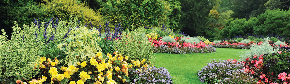 Gartenpflege Banner